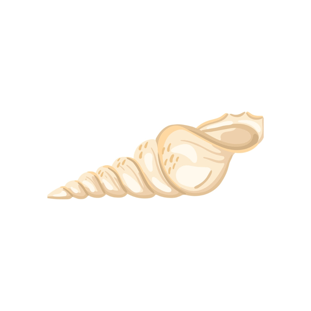 Natural Cone Shell - 90cm