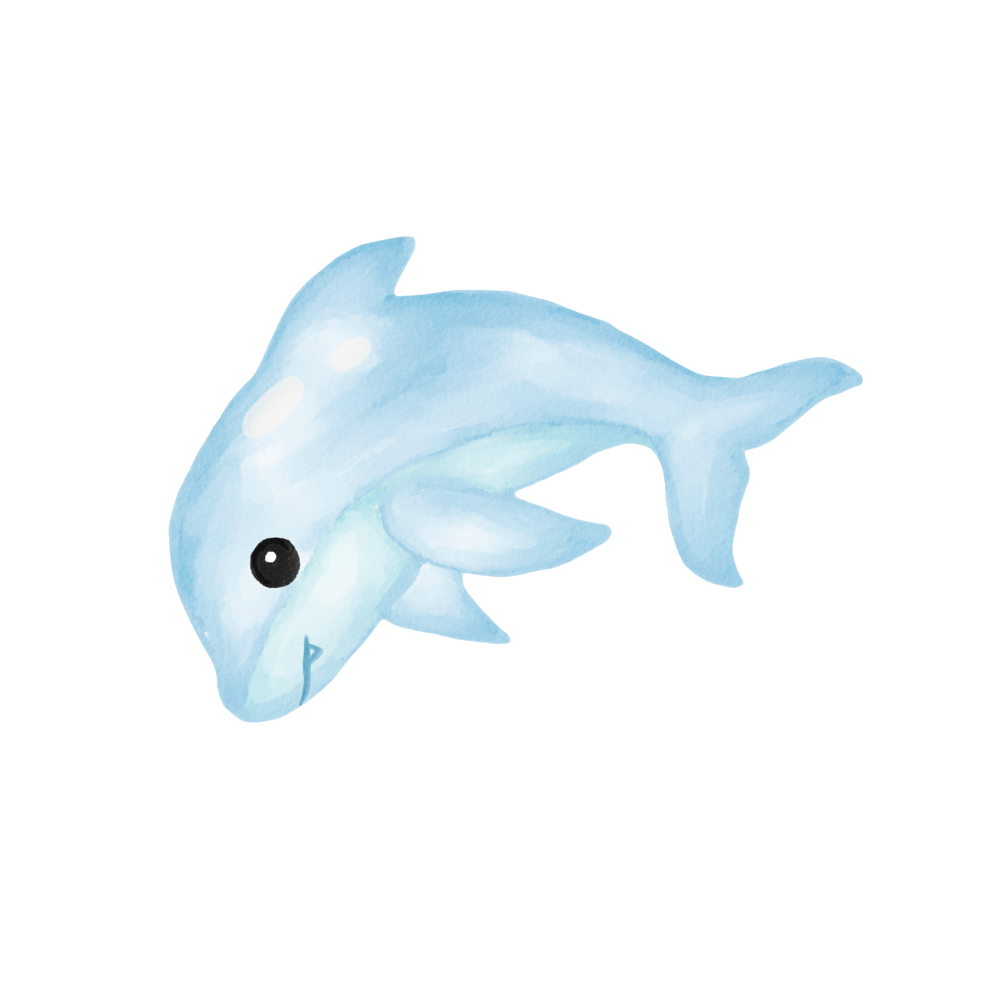 Oceanic - Dolphin Leaping - 100cm Long