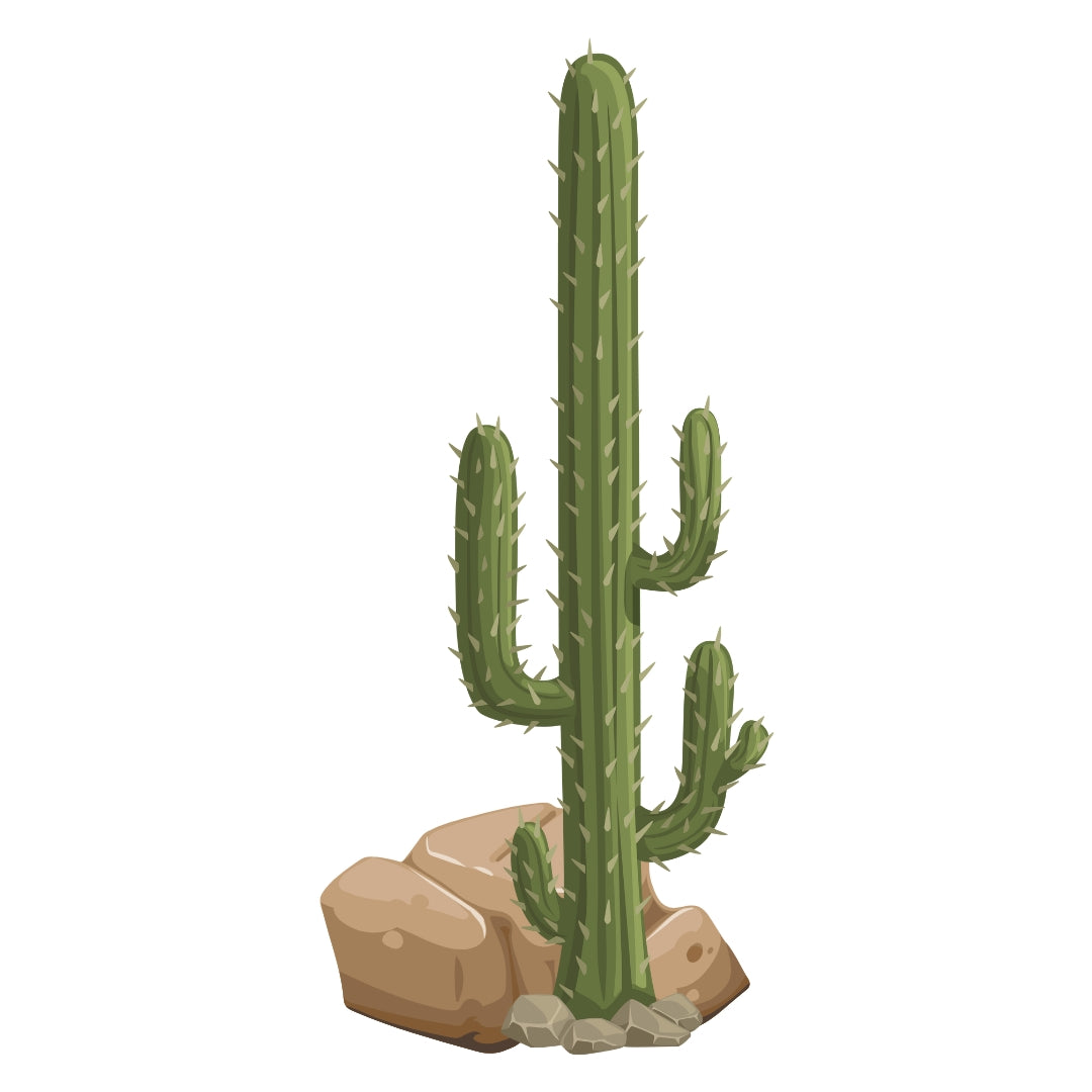 Cactus Tall – 120cm