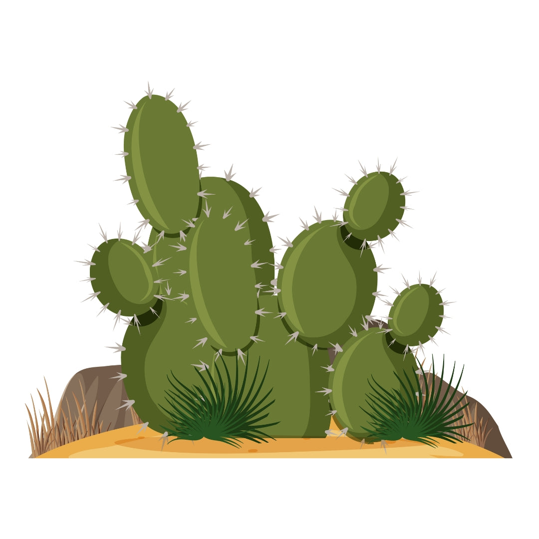 Cactus Short – 70cm H × 1m W