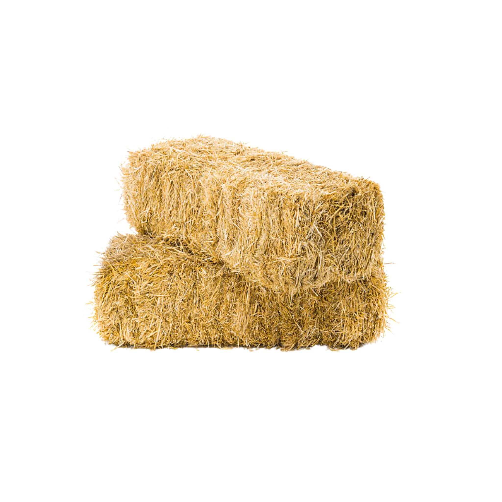Hay Bales (600mm x 300mm x 300mm)