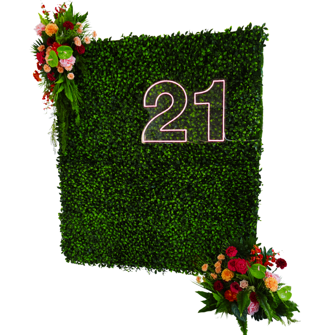 Luxe Greenery Wall Neon Backdrop Package