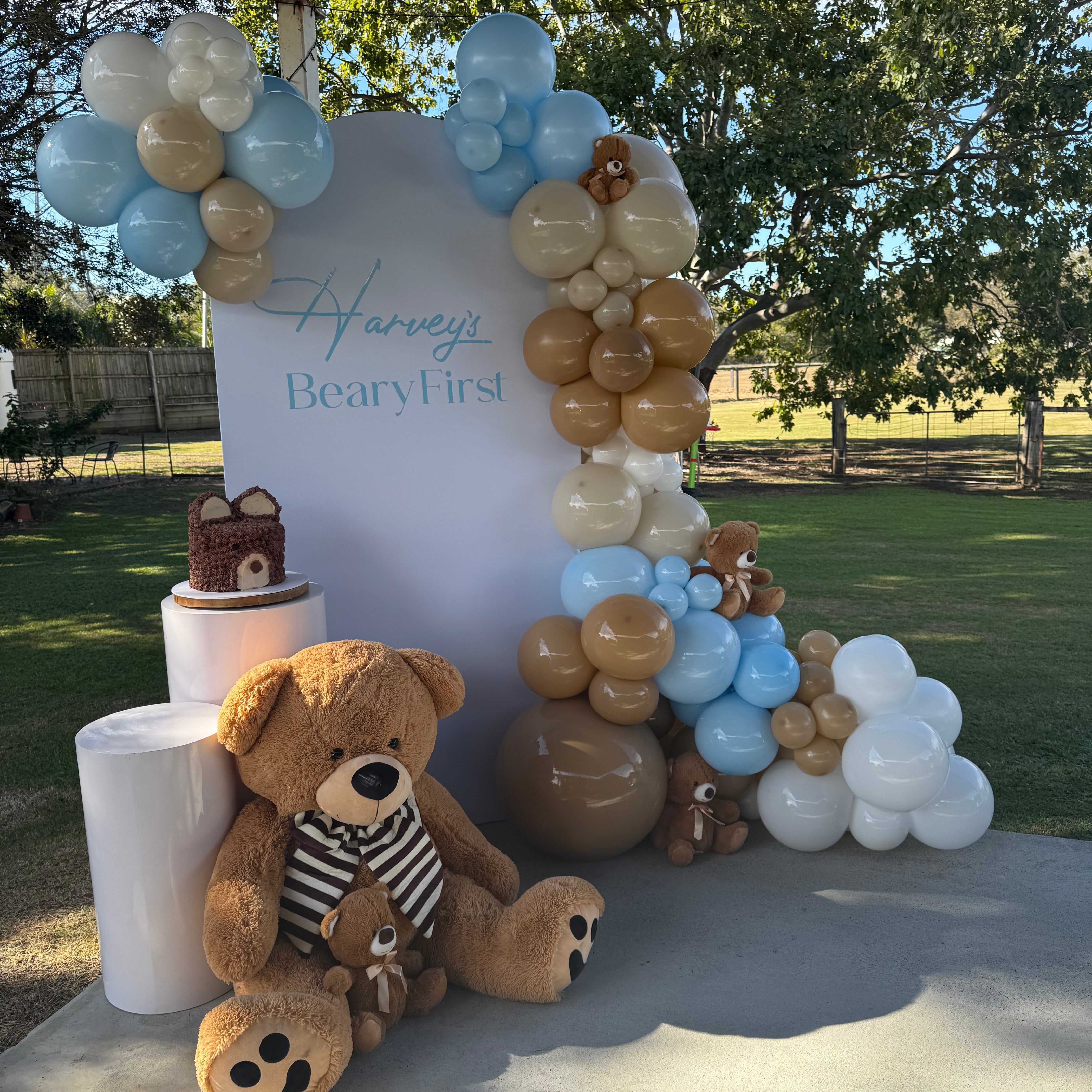 Teddy Set - (6 matching brown bears, 2 x mini, 4 medium)