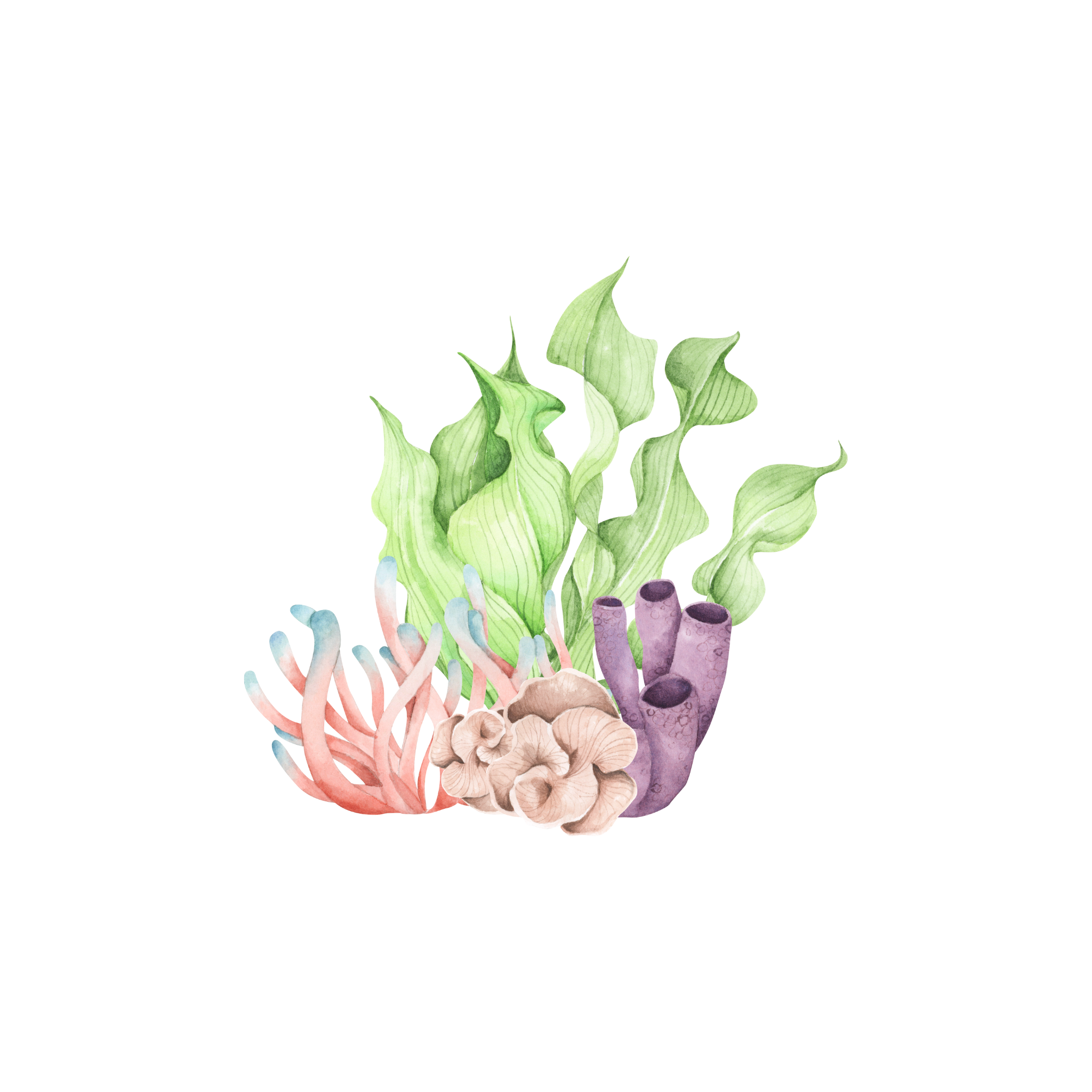 Oceanic - Small Multicolour Coral - 40cm Standing