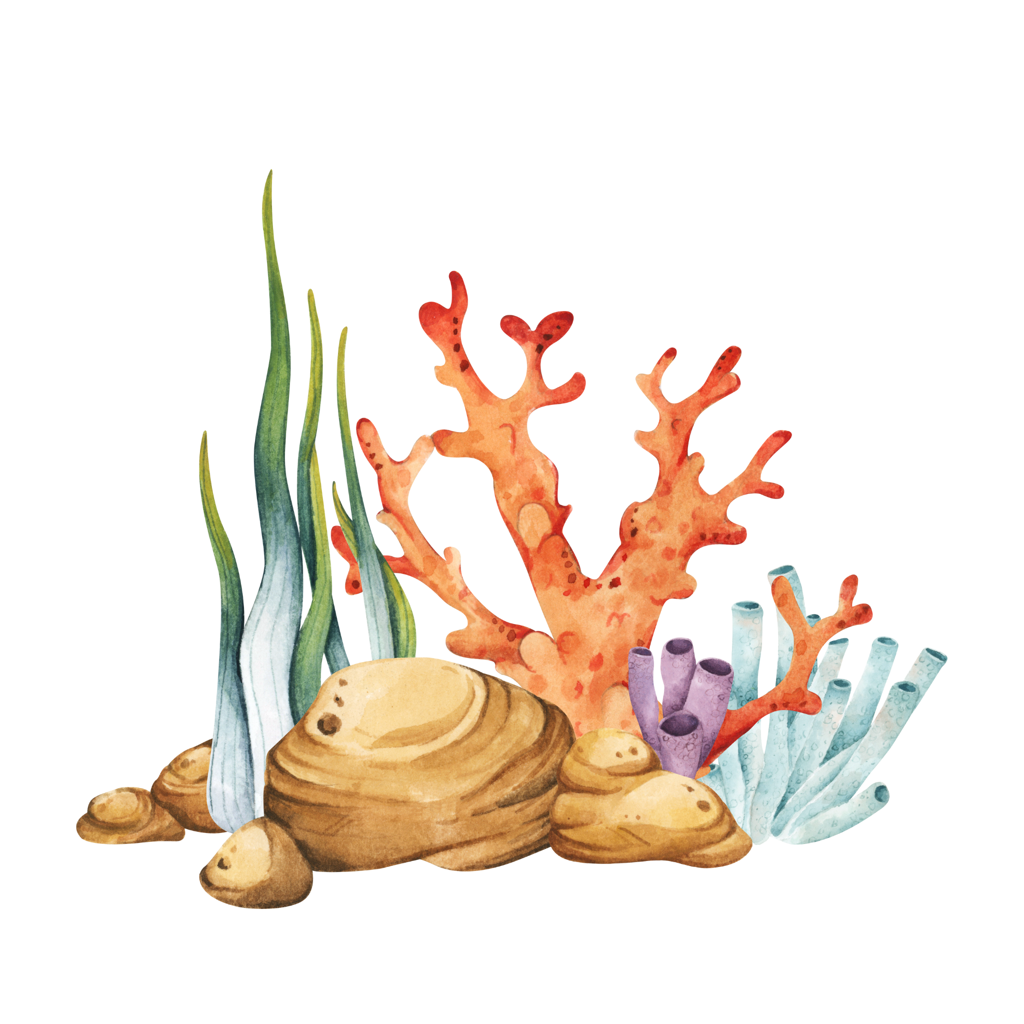 Oceanic - Large Multicolour Coral - 60cm Standing