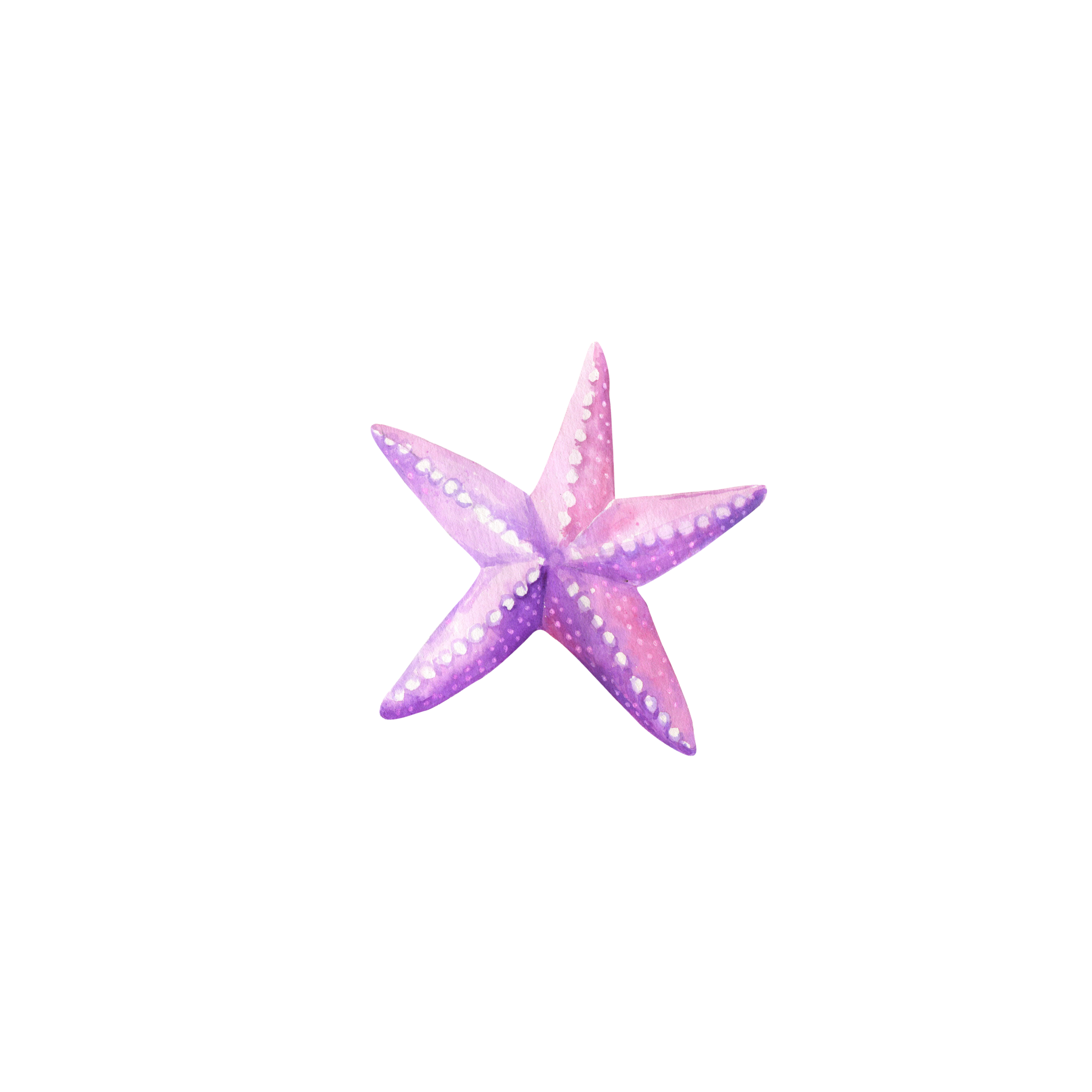 Oceanic - Purple Starfish - 20cm Long