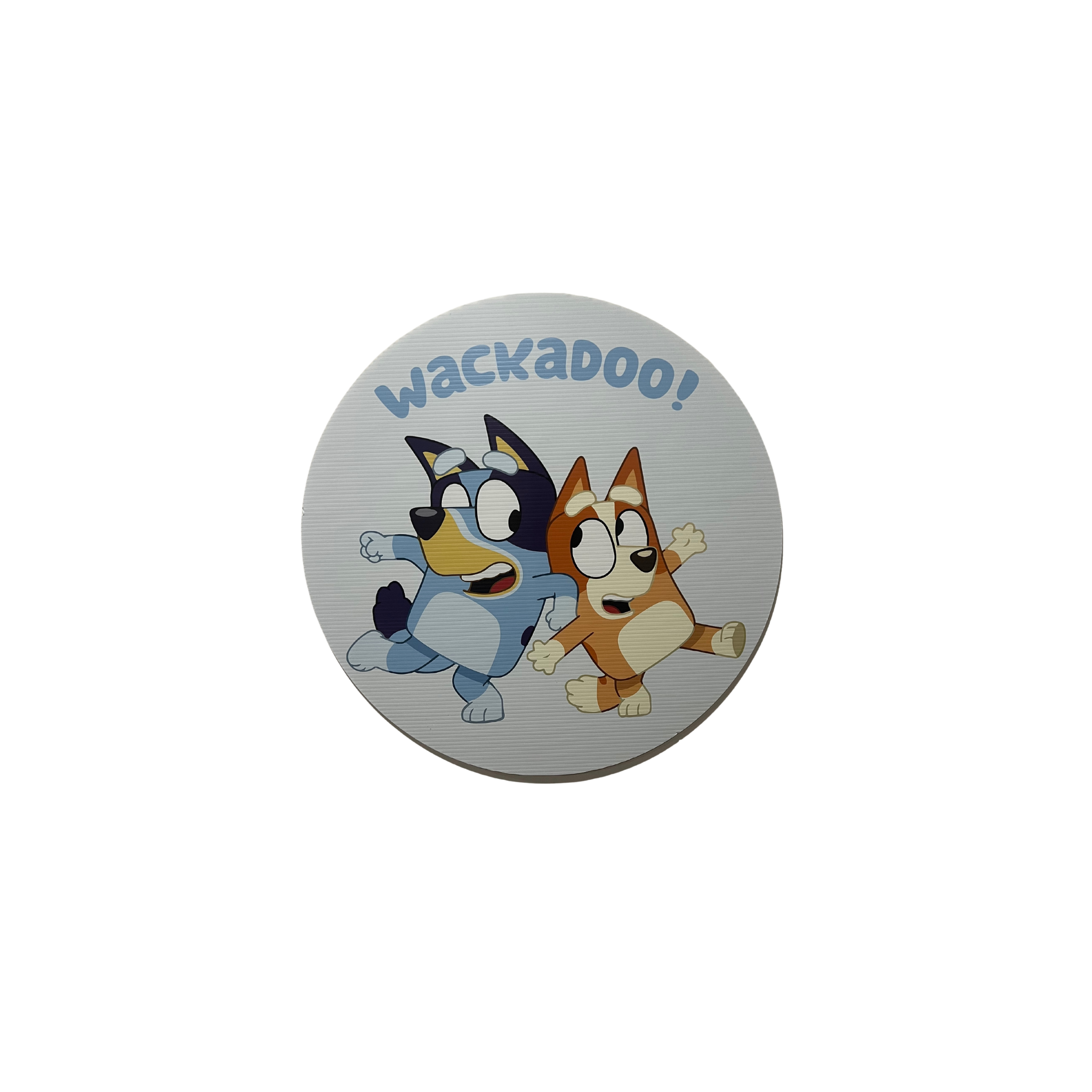 Bluey - Bluey & Bingo - 60cm Round Disc Hanging