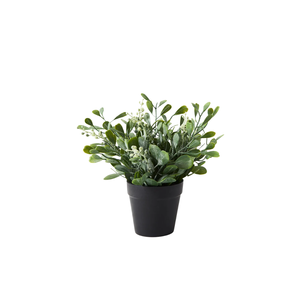 Small Greenery Pot